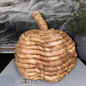 7” x 7.8” Threshold Woven Pumpkin Fall Autumn Farmhouse Boho Home Decor